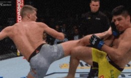 科查德最新形态爆料,颠覆传统，引领未来科技潮流